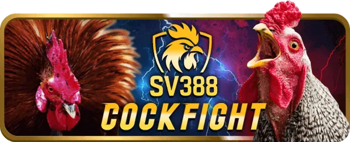 Ưu đãi độc quyền ứng dụng xinbet