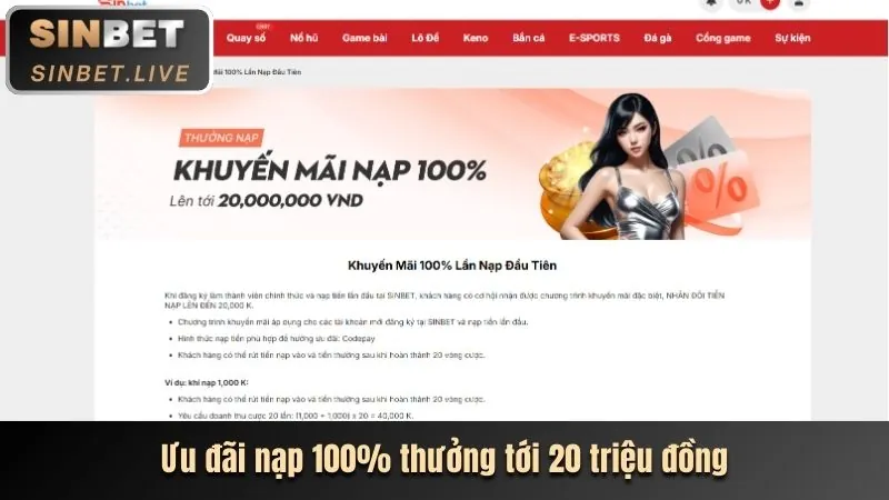 Hướng dẫn chơi xinbet cho người mới
